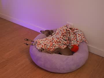 girl
        newmollybrooke cam image #1661254