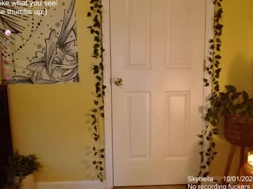 girl
        skybella_ cam image #3440882