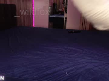 couple
        _wildfox_ cam image #3163352