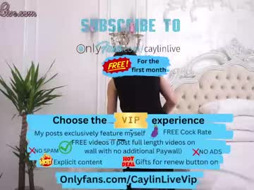 girl
        caylin cam image #2585887