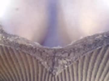girl
        annaliese_bach cam image #4179699