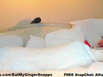 girl
        eatmygingersnapps cam image #2736652