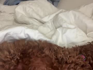 girl
        sarah_heart_aus cam image #3909081