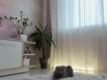 girl
        meryfoxxx cam image #824654