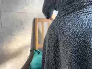girl
        nyconik cam image #2648323