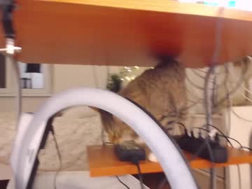 girl
        lillpio cam image #104084