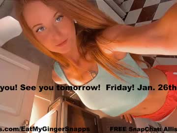 girl
        eatmygingersnapps cam image #2244387