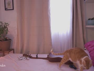 girl
        maria_alfonsina_ cam image #2741544