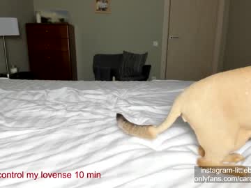 girl
        carolinaherera cam image #1127666