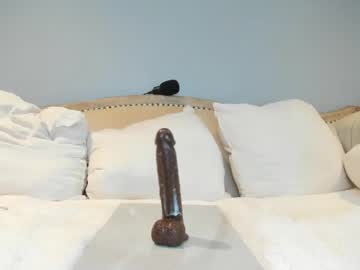 girl
        eatmygingersnapps cam image #4091536