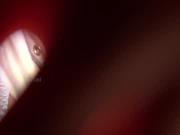 girl
        chloewildd cam image #3153189