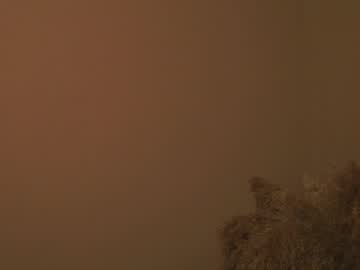 girl
        wendy_amber cam image #1818425