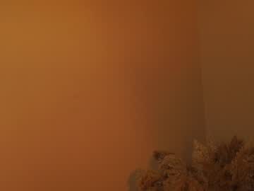 girl
        wendy_amber cam image #1813310